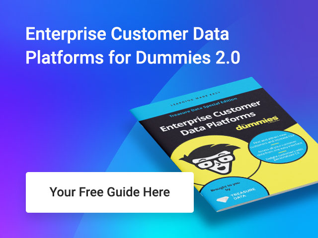 Enterprise Customer Data Platforms for Dummies 2.0

