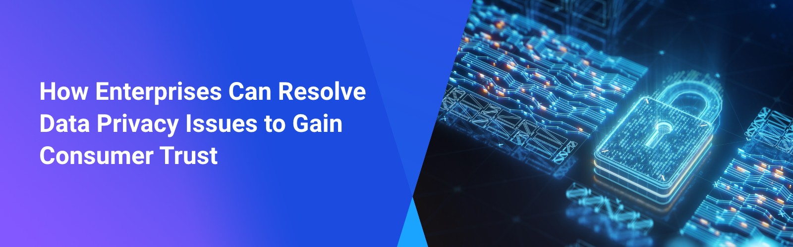 How Enterprises Can Resolve Data Privacy Issues - Treasure Data Blog